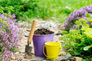 Compost in the basket in the garden, concept of waste composting