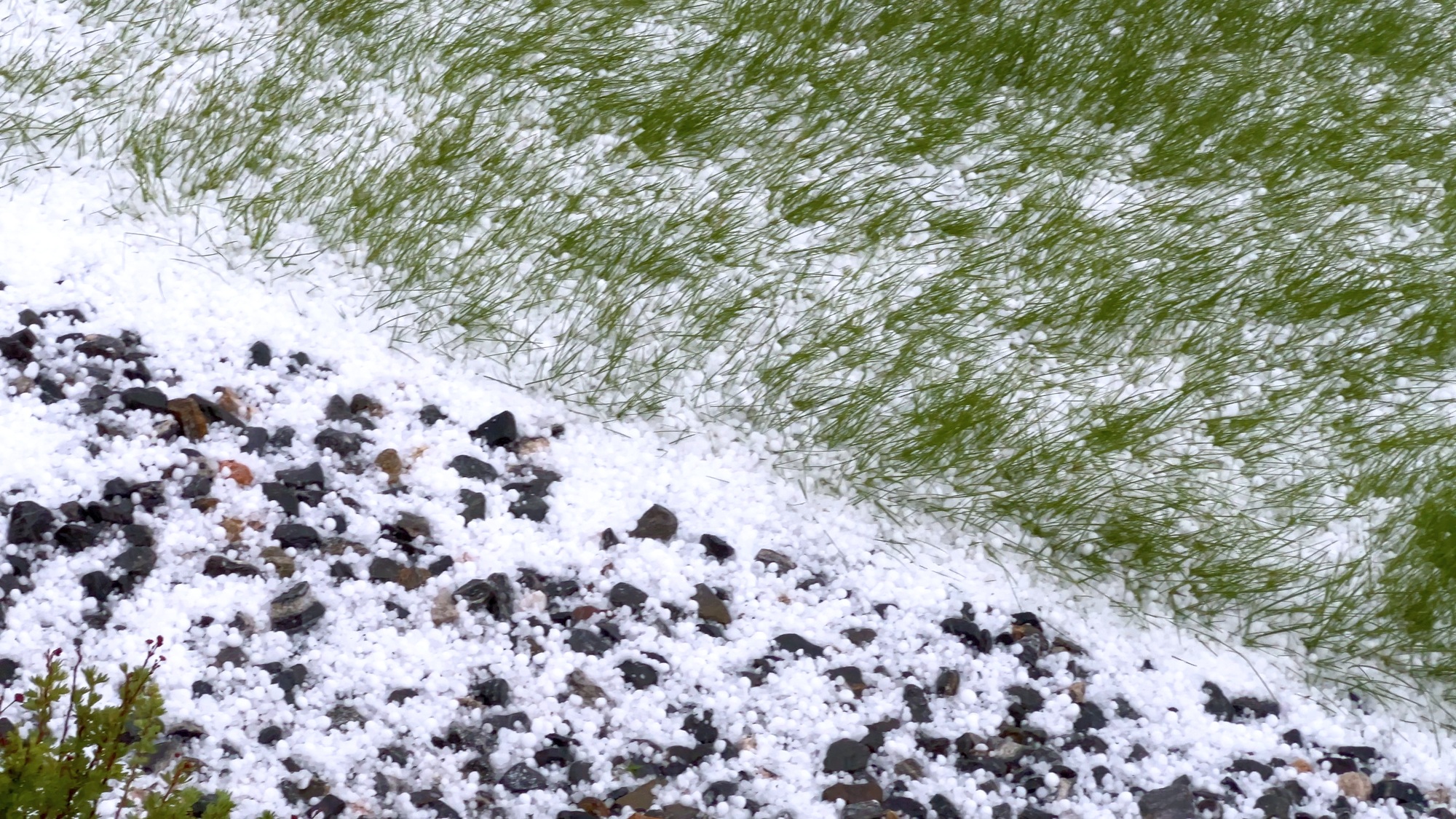 Lawn and Rock Garden Covered in Hail After Storm