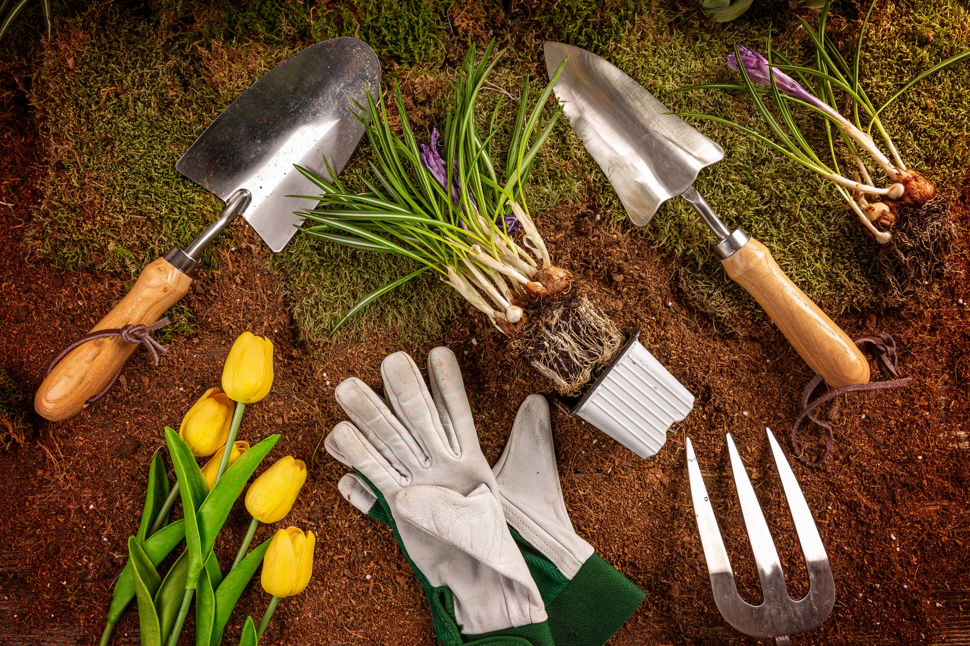 Spring gardening concept
