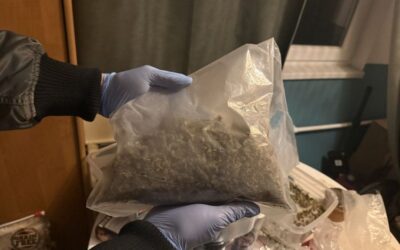 Fél tonna kábítószert foglaltak le a rendőrök