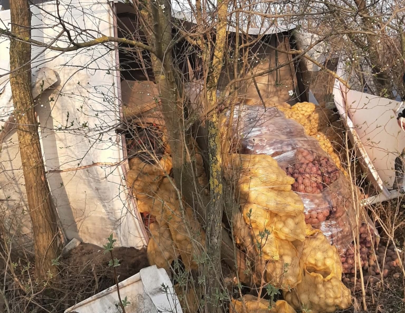 Fák közé csapódott egy teherautó ma reggel Székelynél: ketten megsérültek a reggeli balesetben