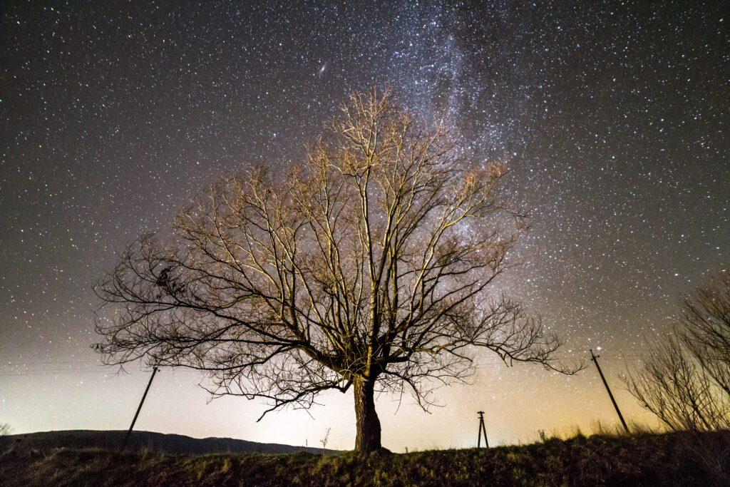 Látványos csillaghullás lesz megfigyelhető április 22-én