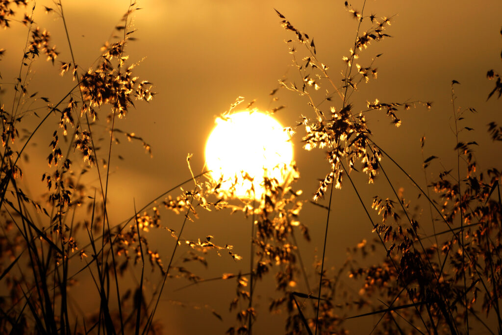 Meteorológia: a pénteki volt az év eddigi legmelegebb napja